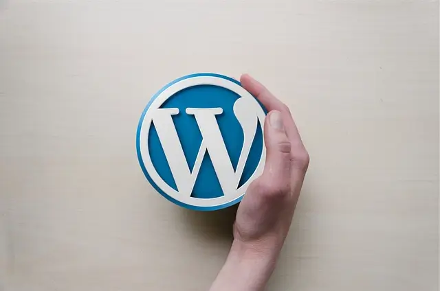 Pourquoi choisir WordPress pour votre site web ? 3 Pourquoi choisir WordPress ? Avantages du CMS pour site web